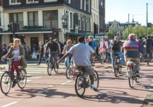 Des vélos partout